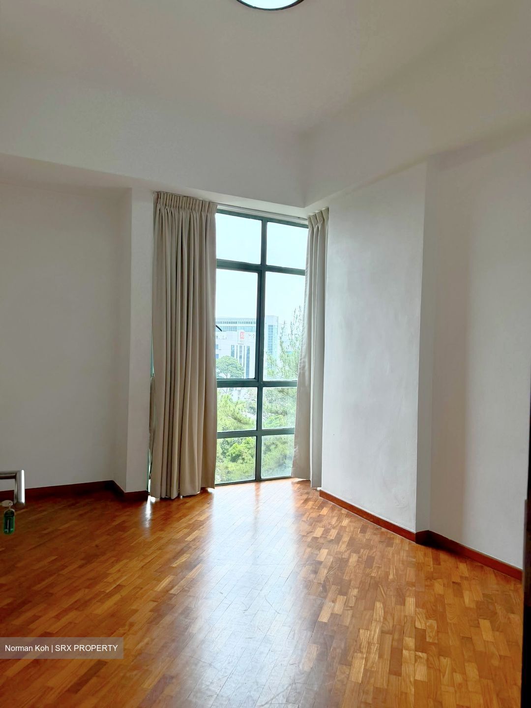 Tanglin Regency (D10), Condominium #604353981